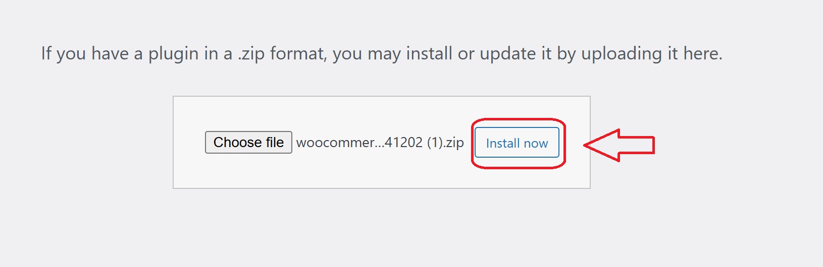 Stop Fraud in WooCommerce