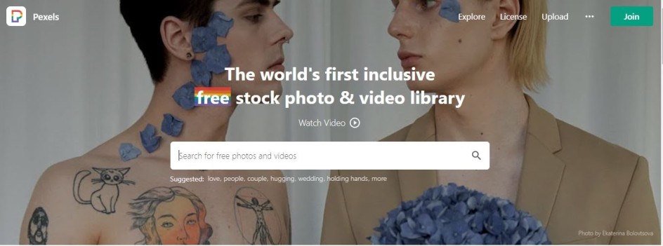 Free stock photos and video library, free images for WordPress