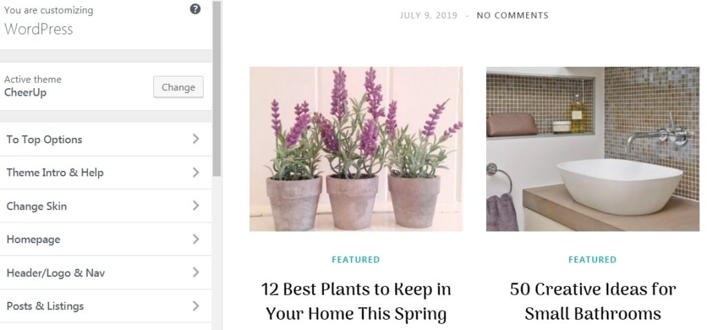 WordPress Customize Theme option