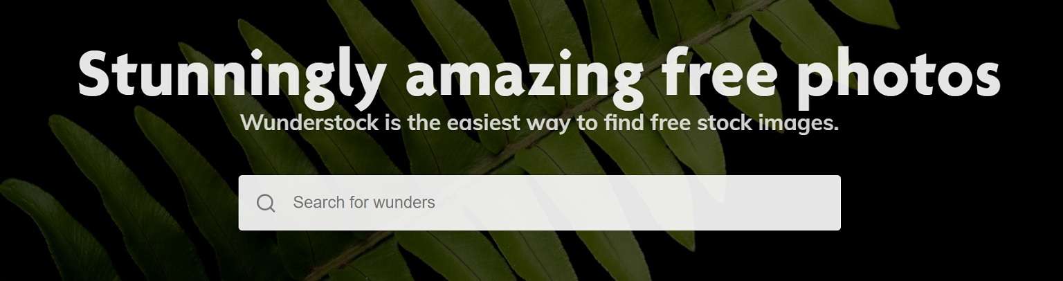 Wunderstock.com homepage screenshot