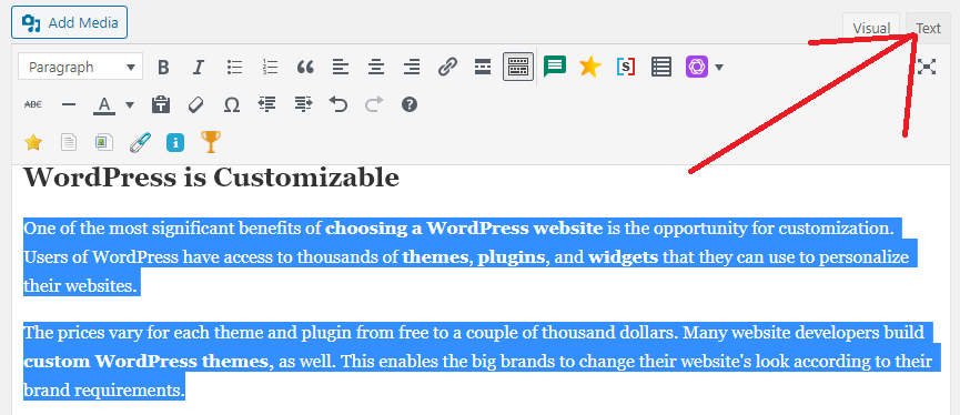 selexting text for source code access