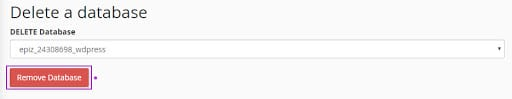 deleting database from WordPress