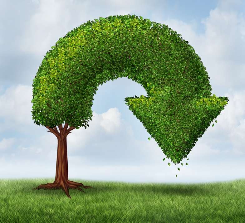 How to Downgrade WordPress (Step-by-Step Guide)