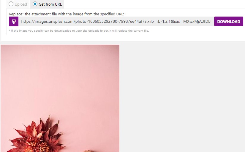 how to replace image using URL embed method